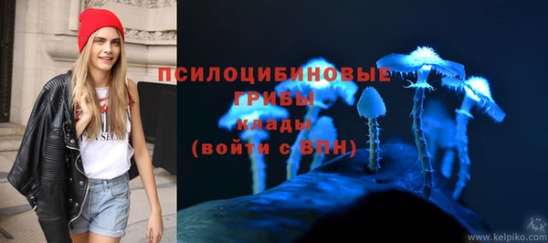 хмурый Алексеевка