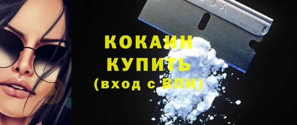 СК Алексин