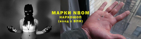 СК Алексин