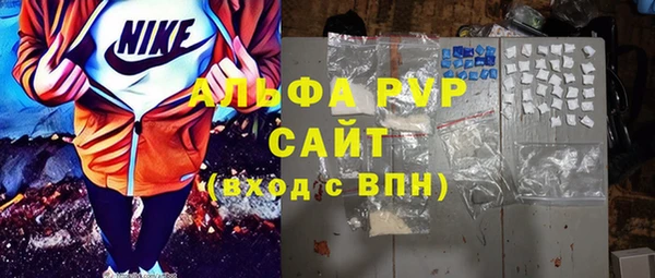 СК Алексин