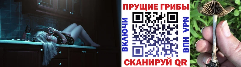 где найти   Менделеевск  blacksprut рабочий сайт  Псилоцибиновые грибы Psilocybe 