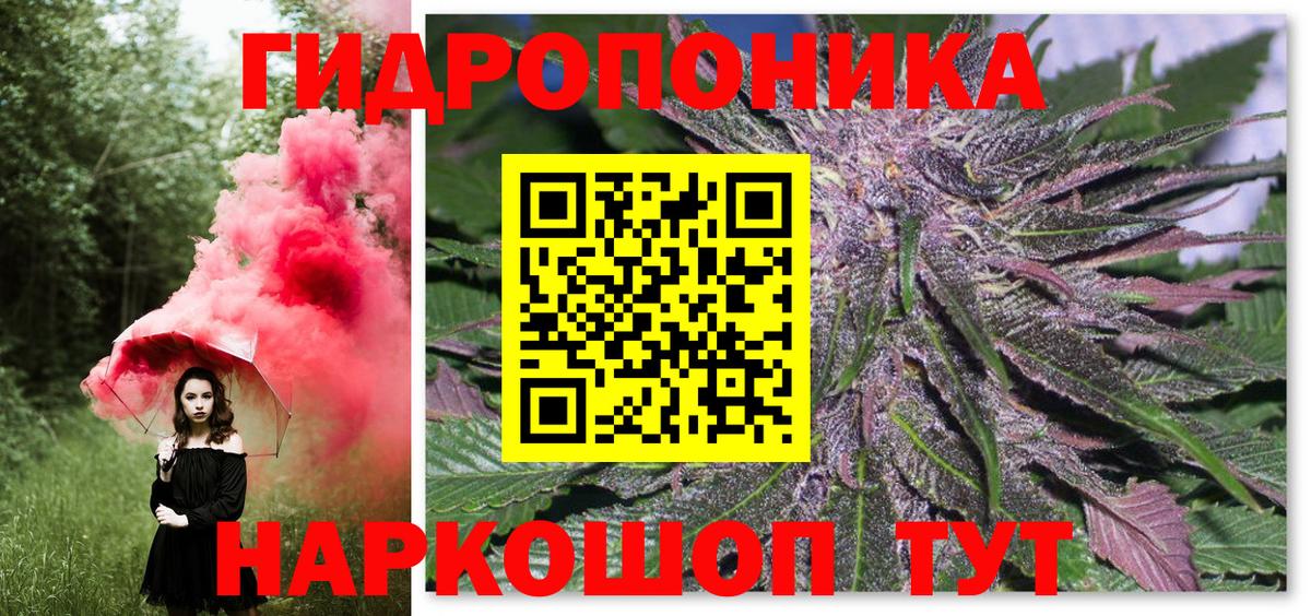Шишки марихуана план Менделеевск
